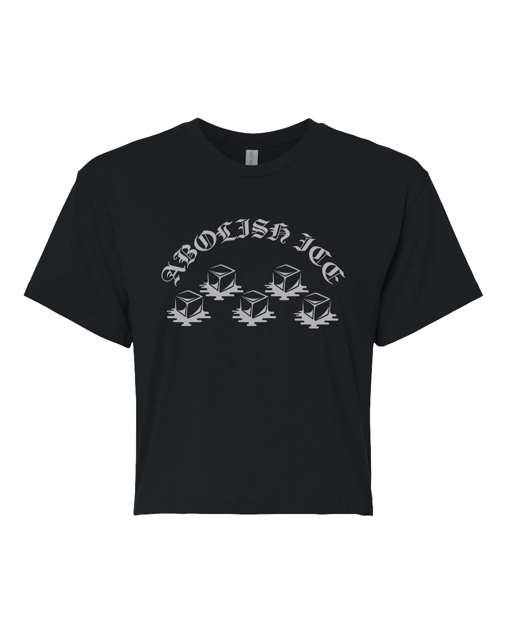 Abolish Ice Crop T-Shirt