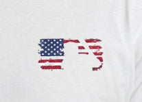 Flag Baseball